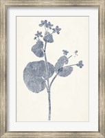 Navy Botanicals VI Fine Art Print