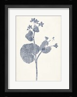 Navy Botanicals VI Fine Art Print