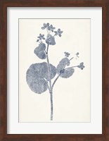 Navy Botanicals VI Fine Art Print