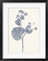 Navy Botanicals VI Framed Print