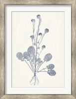 Navy Botanicals VIII Fine Art Print