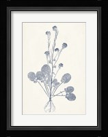 Navy Botanicals VIII Fine Art Print
