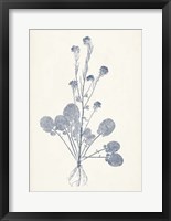 Navy Botanicals VIII Framed Print