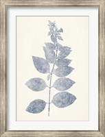 Navy Botanicals IX Fine Art Print