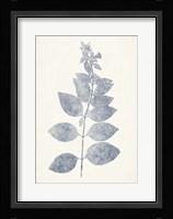Navy Botanicals IX Fine Art Print