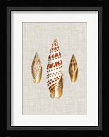Antique Shells on Linen I Fine Art Print