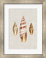 Antique Shells on Linen I Fine Art Print