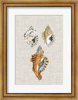 Antique Shells on Linen III Fine Art Print