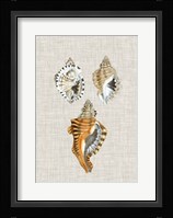 Antique Shells on Linen III Fine Art Print