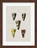 Antique Shells on Linen VIII Fine Art Print