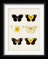 Vintage Butterflies I Fine Art Print