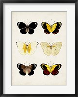 Vintage Butterflies I Fine Art Print