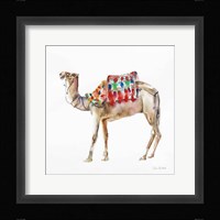 Desert Camel II Fine Art Print