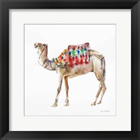 Desert Camel II Framed Print