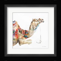 Desert Camel I Fine Art Print