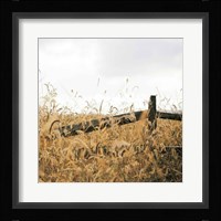 Fencerow Light Crop Fine Art Print