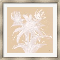Echinacea III Fine Art Print