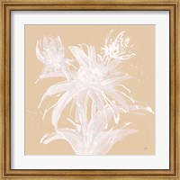 Echinacea III Fine Art Print
