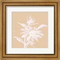 Echinacea II Fine Art Print