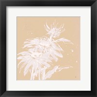 Echinacea I Fine Art Print