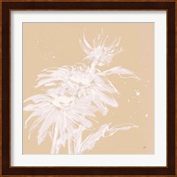 Echinacea I Fine Art Print
