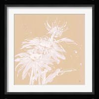 Echinacea I Framed Print