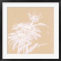Echinacea I Framed Print