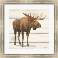 Northern Wild VI Fine Art Print