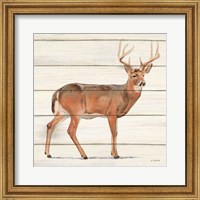 Northern Wild V Fine Art Print