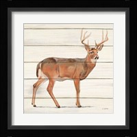 Northern Wild V Framed Print