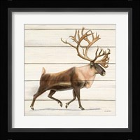 Northern Wild IV Framed Print