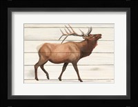 Northern Wild III Framed Print