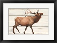 Northern Wild III Framed Print