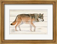 Northern Wild II Fine Art Print