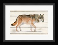 Northern Wild II Framed Print