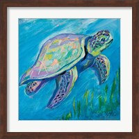 Sea Turtle Swim Fine Art Print