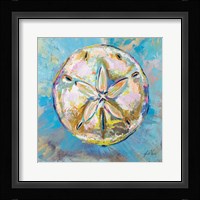 Sand Dollar Fine Art Print