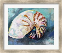 Nautilus Shell Fine Art Print