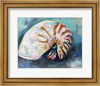 Nautilus Shell Fine Art Print