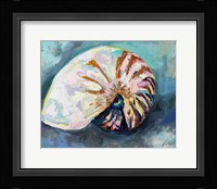 Nautilus Shell Fine Art Print
