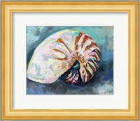 Nautilus Shell Fine Art Print