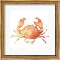Summertime Crab Fine Art Print