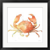 Summertime Crab Framed Print