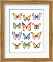Colorful Breeze Butterflies Fine Art Print