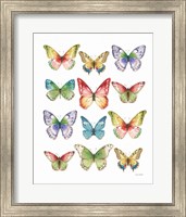 Colorful Breeze Butterflies Fine Art Print