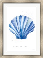 Scallop Shell Fine Art Print