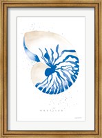 Nautilus Fine Art Print
