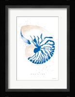 Nautilus Fine Art Print