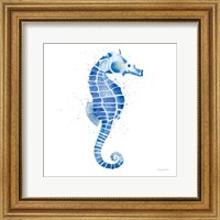 Seahorse Fine Art Print