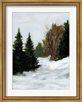 Winter on Grand Mesa Fine Art Print
